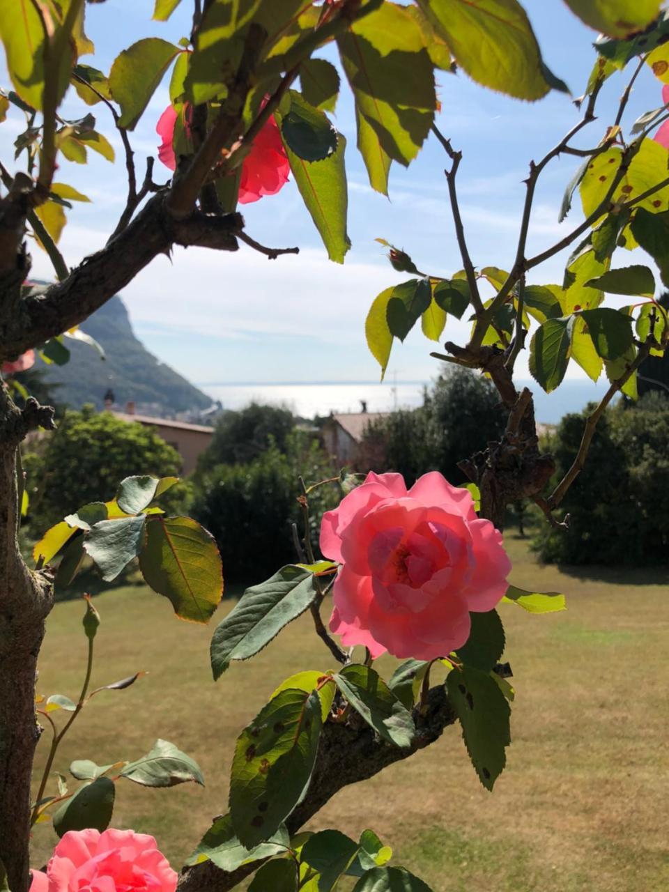 Welcome Traveller Villa Leda Garda  Exterior foto